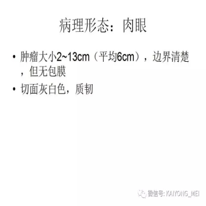 女性生殖道软组织肿瘤病理诊断及进展（二）