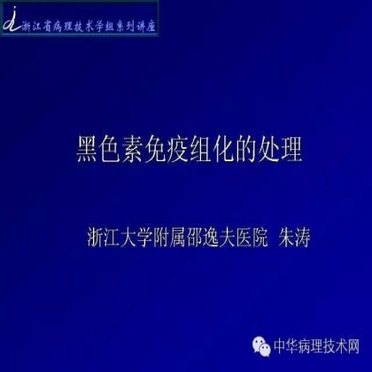 黑色素免疫组化的处理