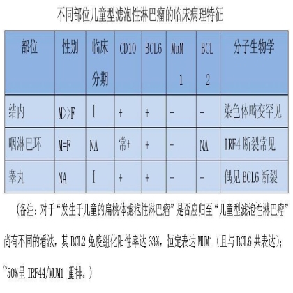 转载文章---2016年版WHO 淋巴瘤分类更新要点