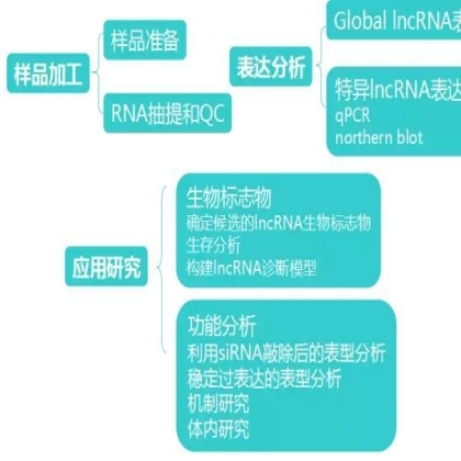 专栏 | 一文总结LncRNA研究思路