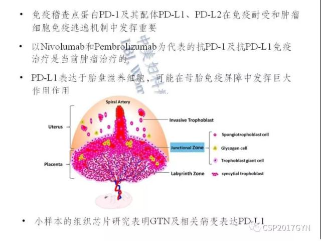 妊娠滋养细胞肿瘤的临床病理学进展