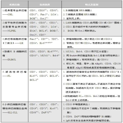 淋巴瘤病理诊断中的抗体选择