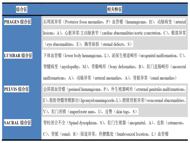 读文献,学病理-从分子特征入手学习血管内皮肿瘤(二) 读文献,学病理-从分子特征入手学习血管内皮肿瘤(二)