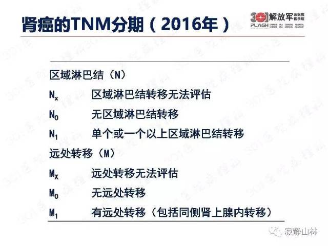 泌尿系统常见肿瘤标本病理报告规范