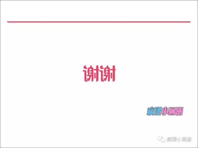 泌尿病理--精原细胞瘤VS精母细胞瘤