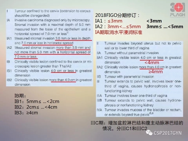 宫颈腺癌的临床病理研究进展