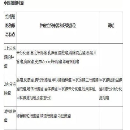 肿瘤病理学分类大全