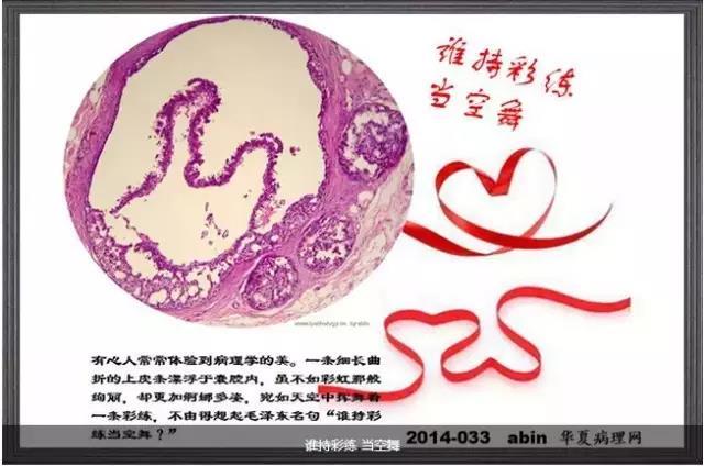 你见过这么美的病理切片吗？