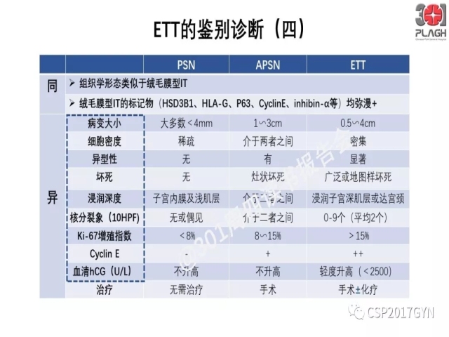 中间型滋养细胞肿瘤的诊断及鉴别诊断