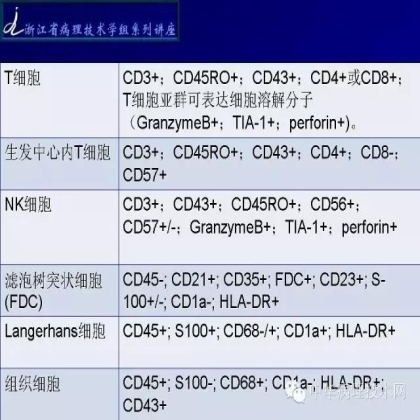 免疫组化结果的分析和常见问题的处理