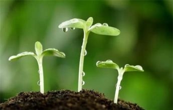 “巨噬细胞”大结局——淋巴瘤相关巨噬细胞
