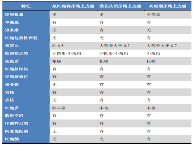 读文献,学病理-胸腔积液中的高级别尿路上皮癌 读文献,学病理-胸腔积液中的高级别尿路上皮癌