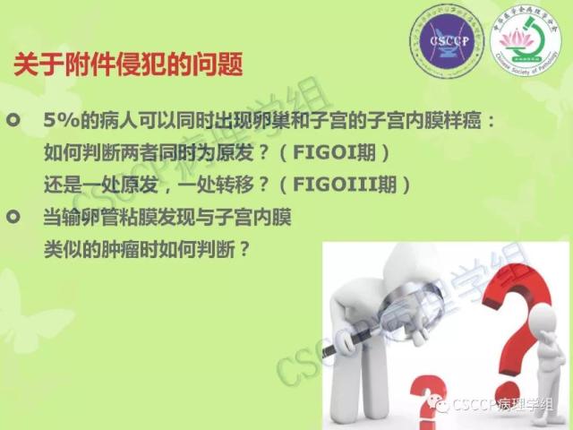 宫颈与子宫病变病理标本取材