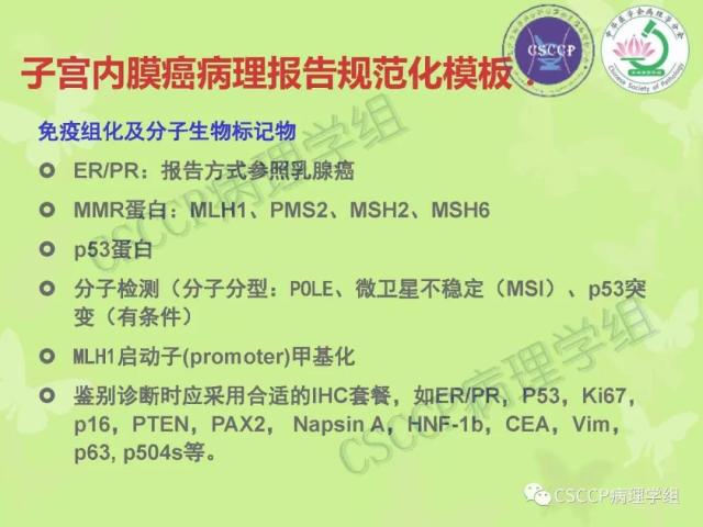 宫颈与子宫病变病理标本取材