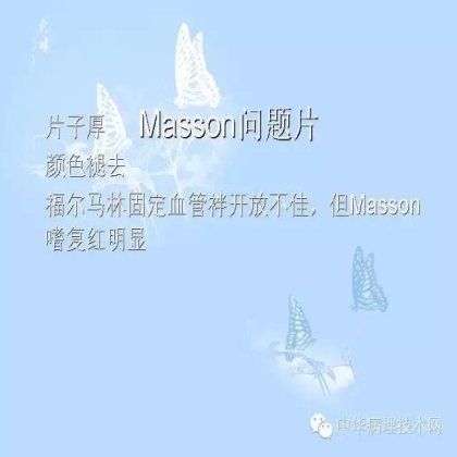 肾穿活检组织特殊染色方法