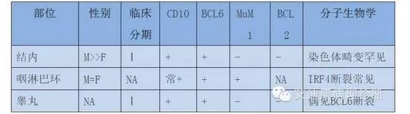 2016年版WHO淋巴瘤分类更新要点——黄雨华