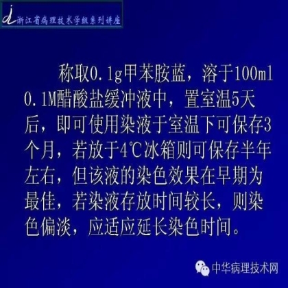 特殊染色 - HP染色