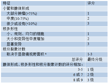 乳腺肿瘤WHO分类学习笔记（连载9）