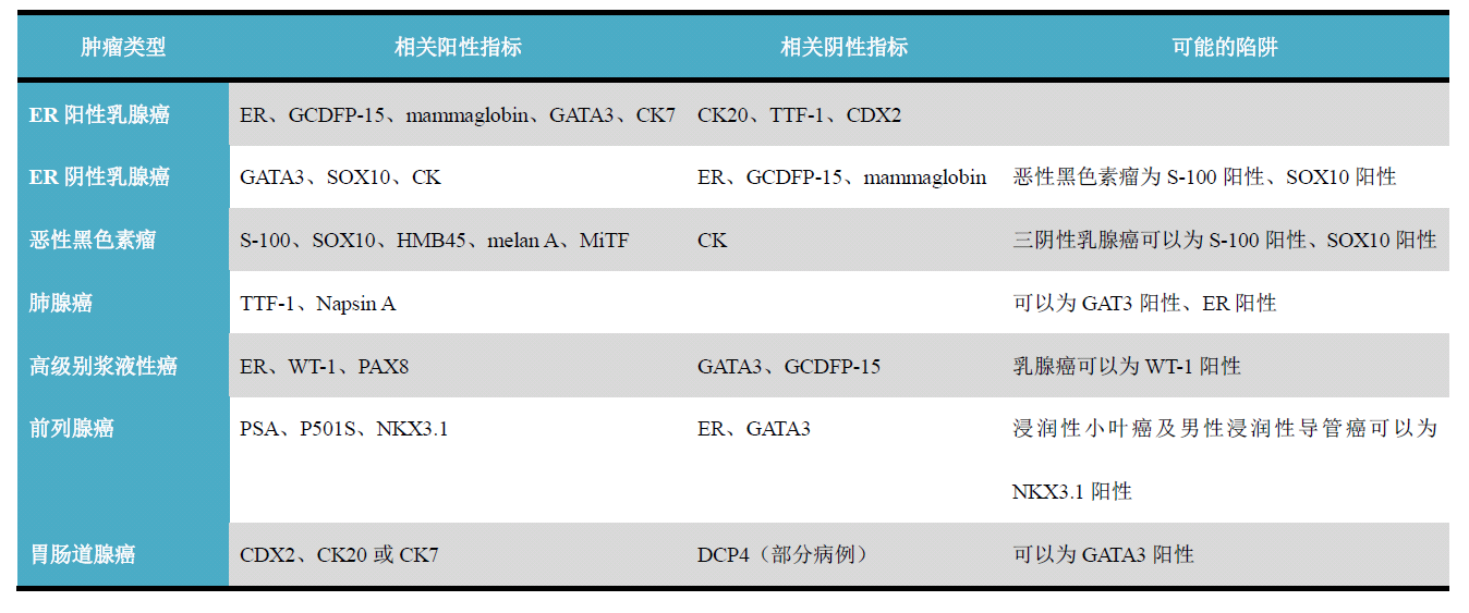 读文献，学病理-乳腺癌部分免疫组化详解（二）