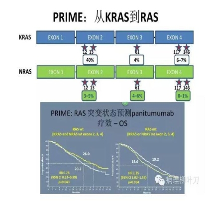 肿瘤精确医疗与分子病理检测