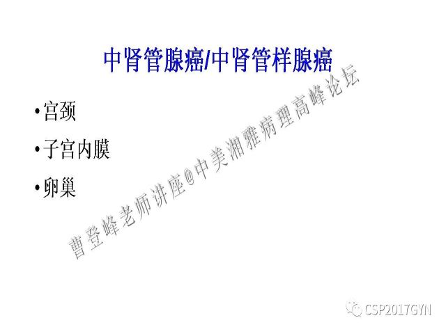 妇科肿瘤病理新进展——特殊类型的腺癌