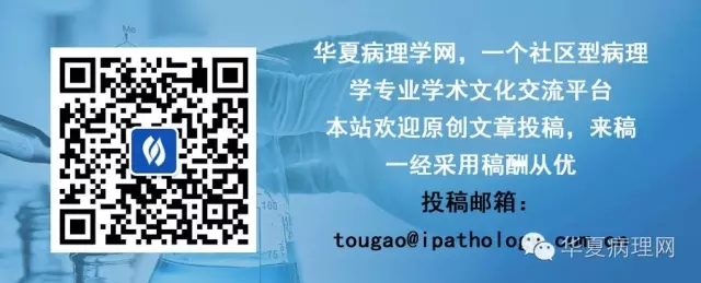 粉蓝医疗科技(杭州)有限公司网征稿启事 粉蓝医疗科技(杭州)有限公司网征稿启事