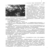 默认相册