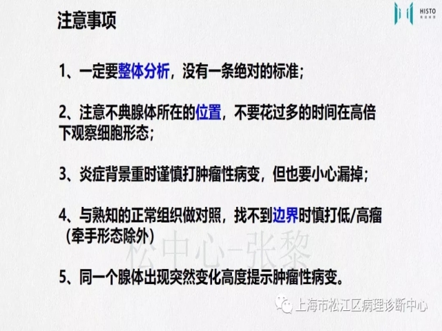 上消化道早癌病理诊断中的困惑及基本对策回顾
