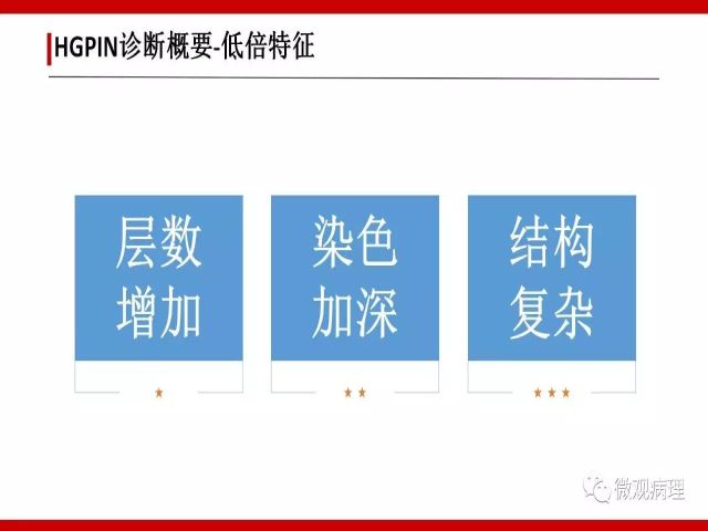 泌尿课程/一个中心,两个基本点:HGPIN诊断概要 泌尿课程/一个中心,两个基本点:HGPIN诊断概要