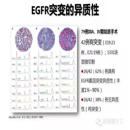 肿瘤精确医疗与分子病理检测