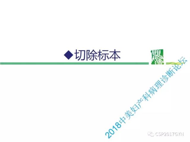 非HPV相关的外阴鳞状细胞肿瘤