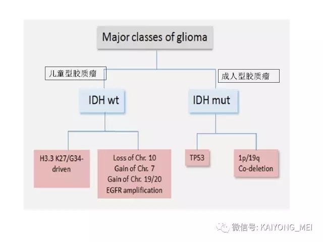 2016 WHO中枢神经系统肿瘤分类解读（二）