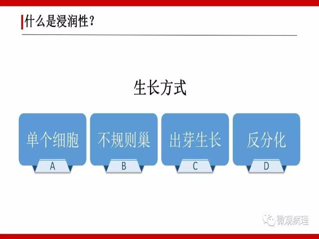 泌尿课程/浸润性尿路上皮癌病理学类型