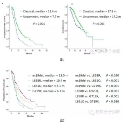 EGFR-TKI治疗G719X/S768I/L861Q突变的晚期非小细胞肺癌疗效