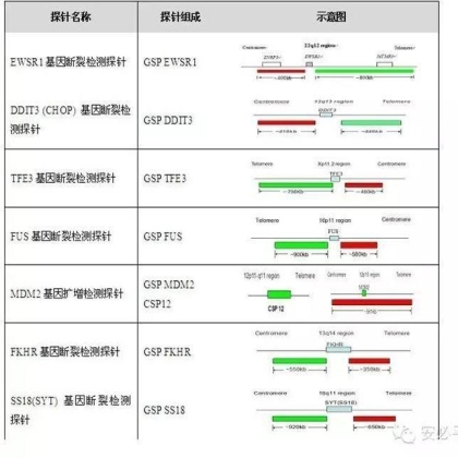 软组织肉瘤辅助诊断方法——FISH探针系列
