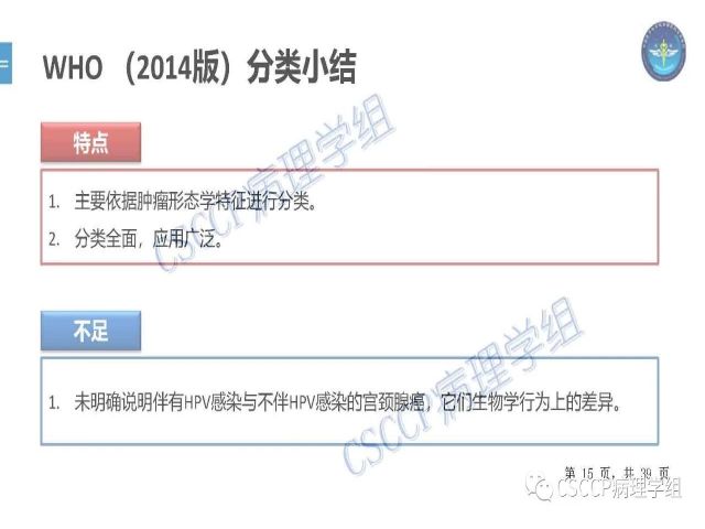 黄文亭 张询：宫颈腺癌分类介绍