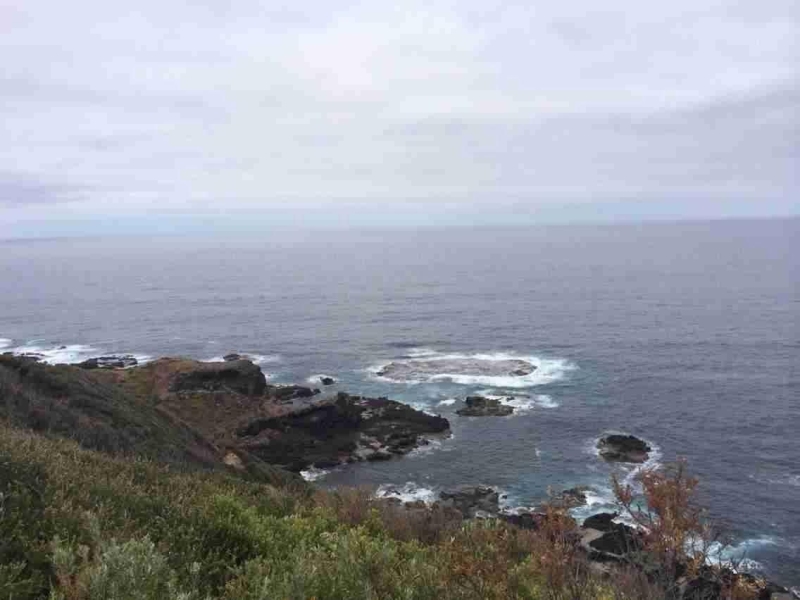 海钓