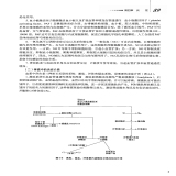 默认相册