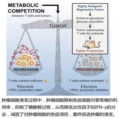 国自然热点分析：Cell杂志三连发，发发引爆免疫治疗！