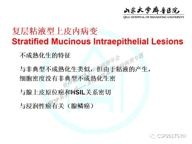 中华病理学会基层培训遵义站讲座（四）——宫颈腺癌的诊断及新分型