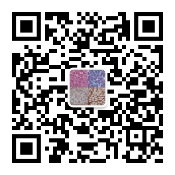 学习笔记：骨病理中的基本概念