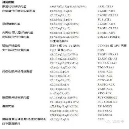 软组织肉瘤辅助诊断方法——FISH探针系列
