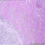 2012-04-06