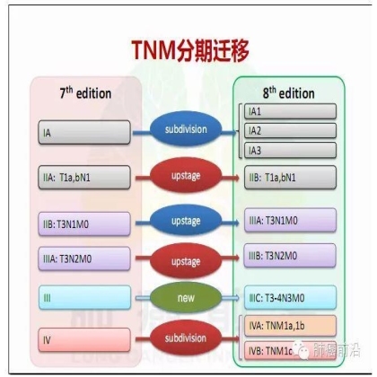 肺癌新分期和分类--临床和研究启示