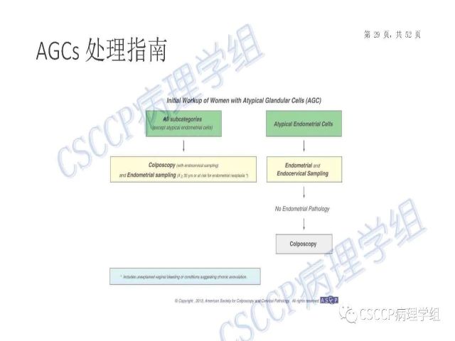 Atypical glandular cells: Recent Advances 非典型腺细胞新进展