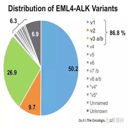 不同ALK融合亚型与临床疗效的关系