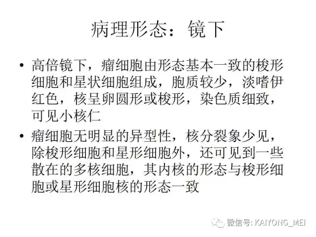 女性生殖道软组织肿瘤病理诊断及进展（一）
