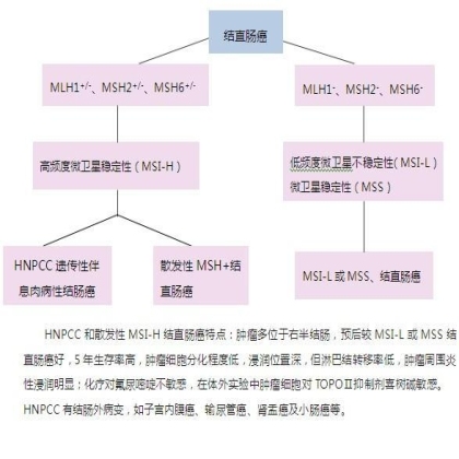结直肠癌高频度微卫星不稳定性免疫组化筛选