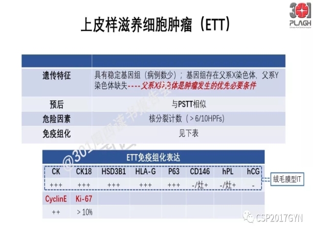 中间型滋养细胞肿瘤的诊断及鉴别诊断