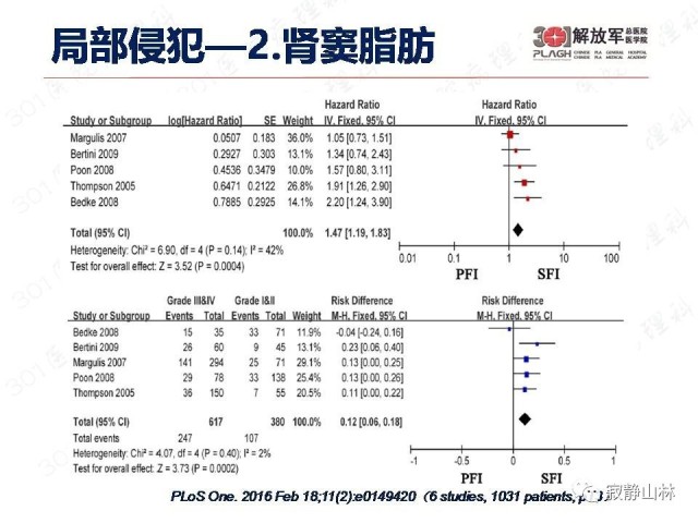 泌尿系统常见肿瘤标本病理报告规范